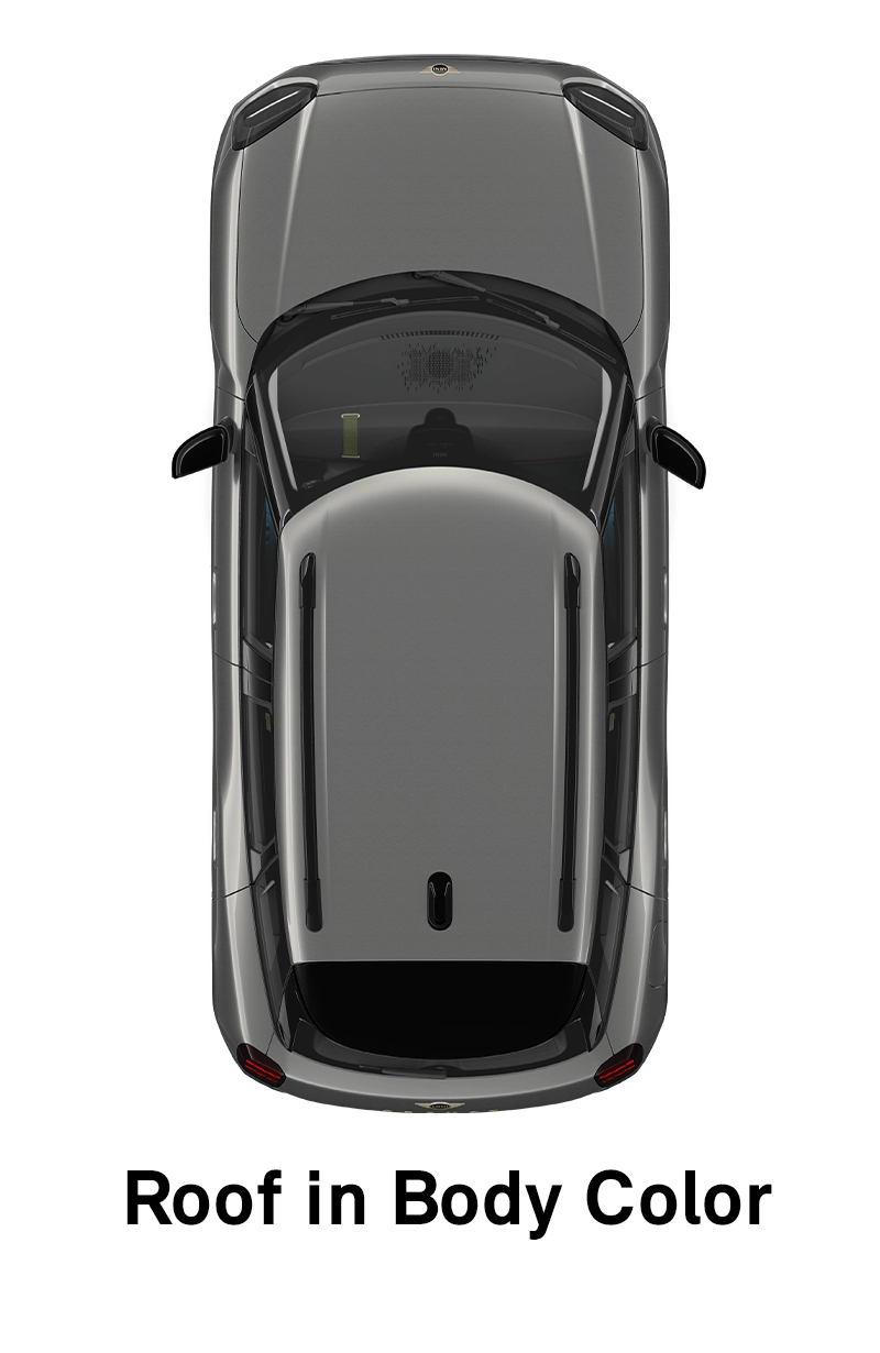 MINI Roof: Roof and Mirror Caps in Body Colour
