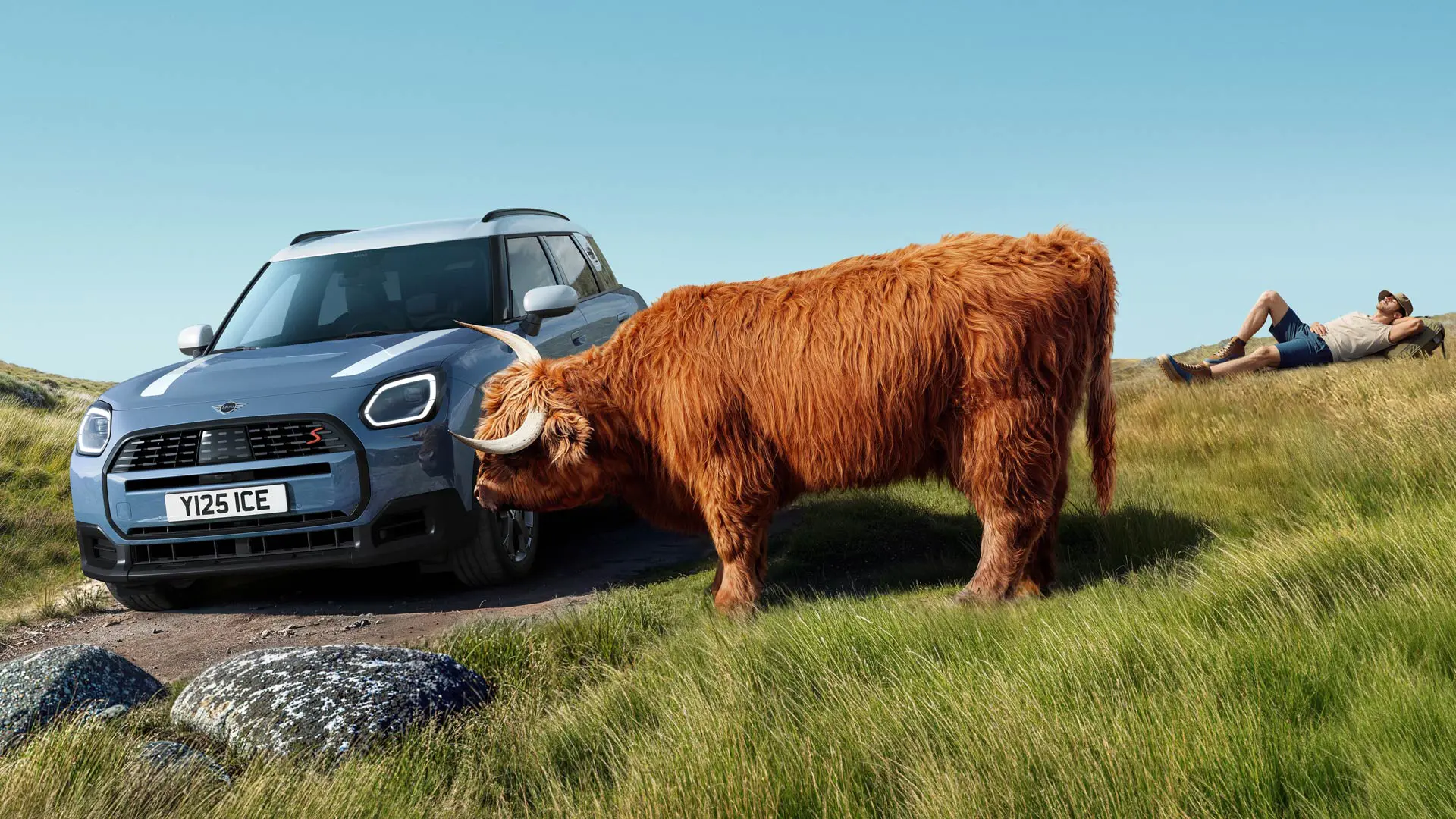 A MINI Countryman driving past a cow grazing peacefully nearby. With proactive care, we handle the worries, you drive.