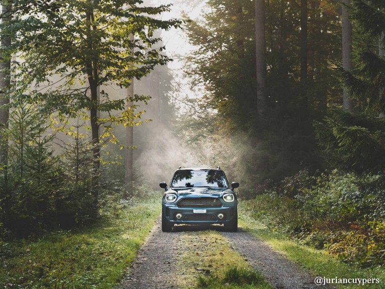 MINI Cooper drives unerringly through a lonely forest path.